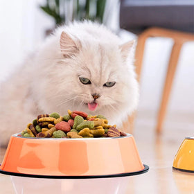High Quality Anti-Slip Stainless Steel Dog Bowls Eco-Friendly Powder Coated Metal for Small Animals Cats Automatic Water