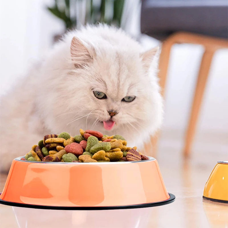 High Quality Anti-Slip Stainless Steel Dog Bowls Eco-Friendly Powder Coated Metal for Small Animals Cats Automatic Water