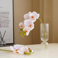 High-End 5-Head Phalaenopsis Orchid Realistic Single Stem Moisturizing Touch for Home Decor Wedding Scenes Artificial Flower