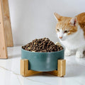 Wholesale Ceramic Elevated Pet Feeder Bowl Raised Double Food and Water Bowl Set for Cats and Small Dogs with Wood Stands