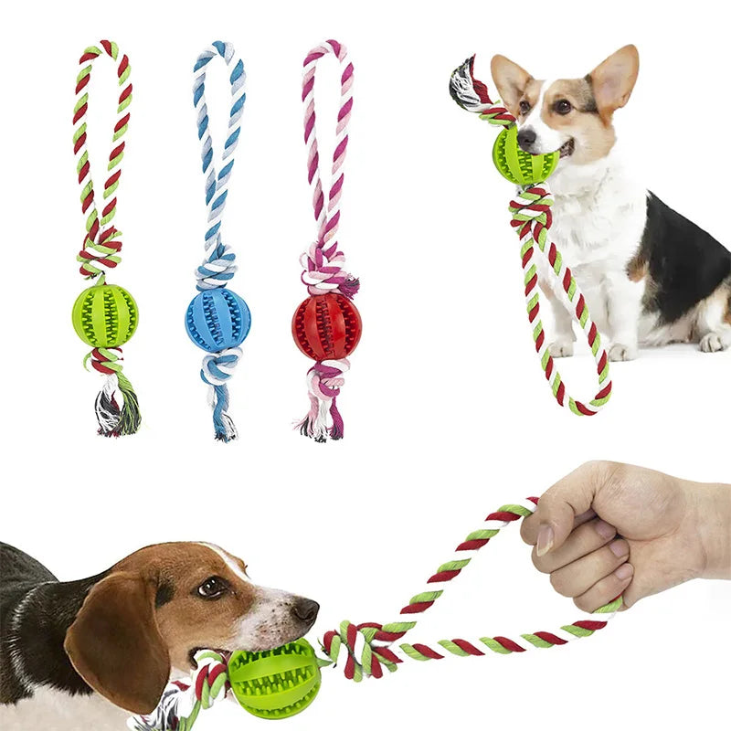Interactive Dog Molar Toy Durable Rubber Chew Ball with Bite-Resistant Rope for Pet Teeth Cleaning