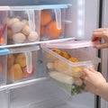 2025 New with Handle Fridge Food Storage Refrigerator Boxes Refrigerator Storage Box
