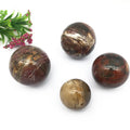 Wholesale Natural Polished Wood fossil Ball Crystal Sphere Petrified Wood Egg for Decoration