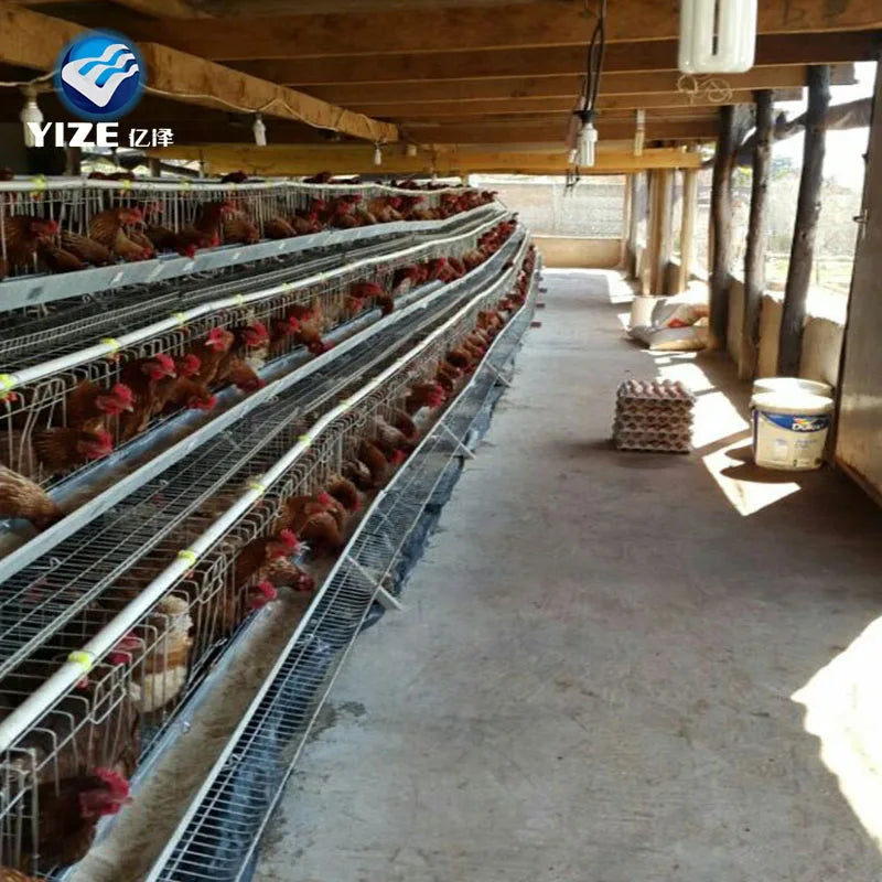 Chicken Farm Building Cheap Chicken Coops