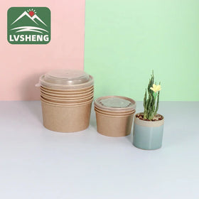 Disposable Takeaway Logo Printed Bamboo Salad Paper Bowls with Lid