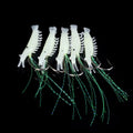 Wholesale SO043 3cm 9g 5pcs/bag Soft Plastic Baits Different Hook Size Luminous Shrimp Fishing Lures