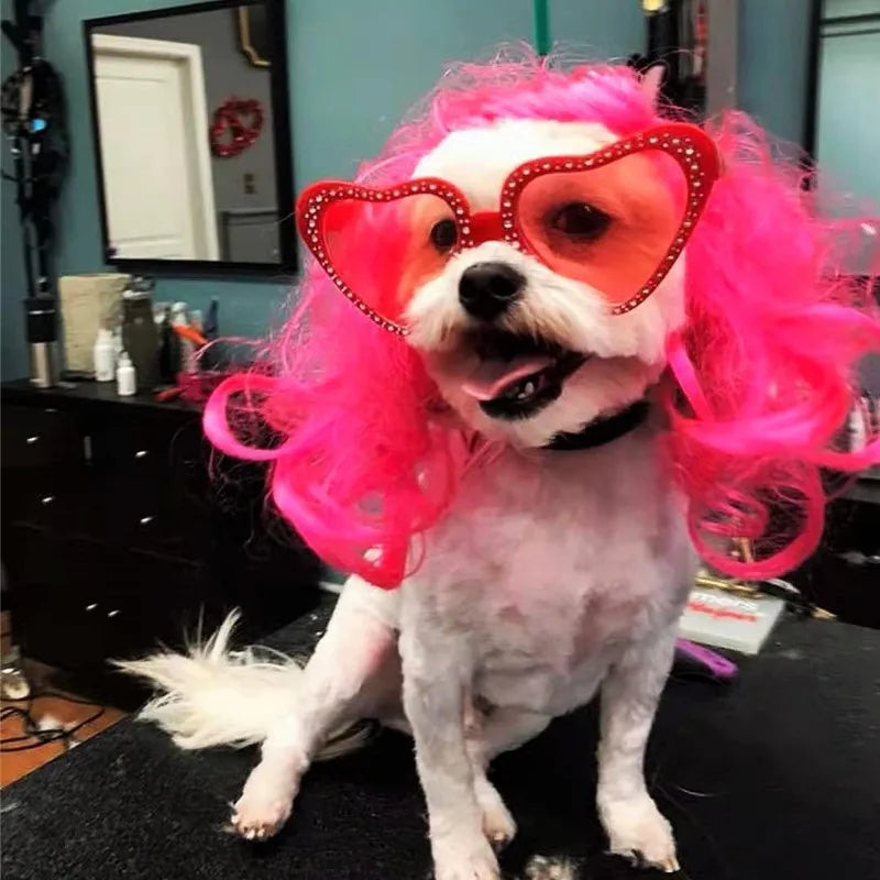 Costume Transformation Pet Wig Set for Cats and DogSCosplay Props Pet Headwear Doggie Headpiece
