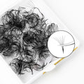 Customized 0.05mm C D Cashmere Mix Length Premade Loose Eyelash Extensions 8D Pointy Base Wholesale 500 Fans