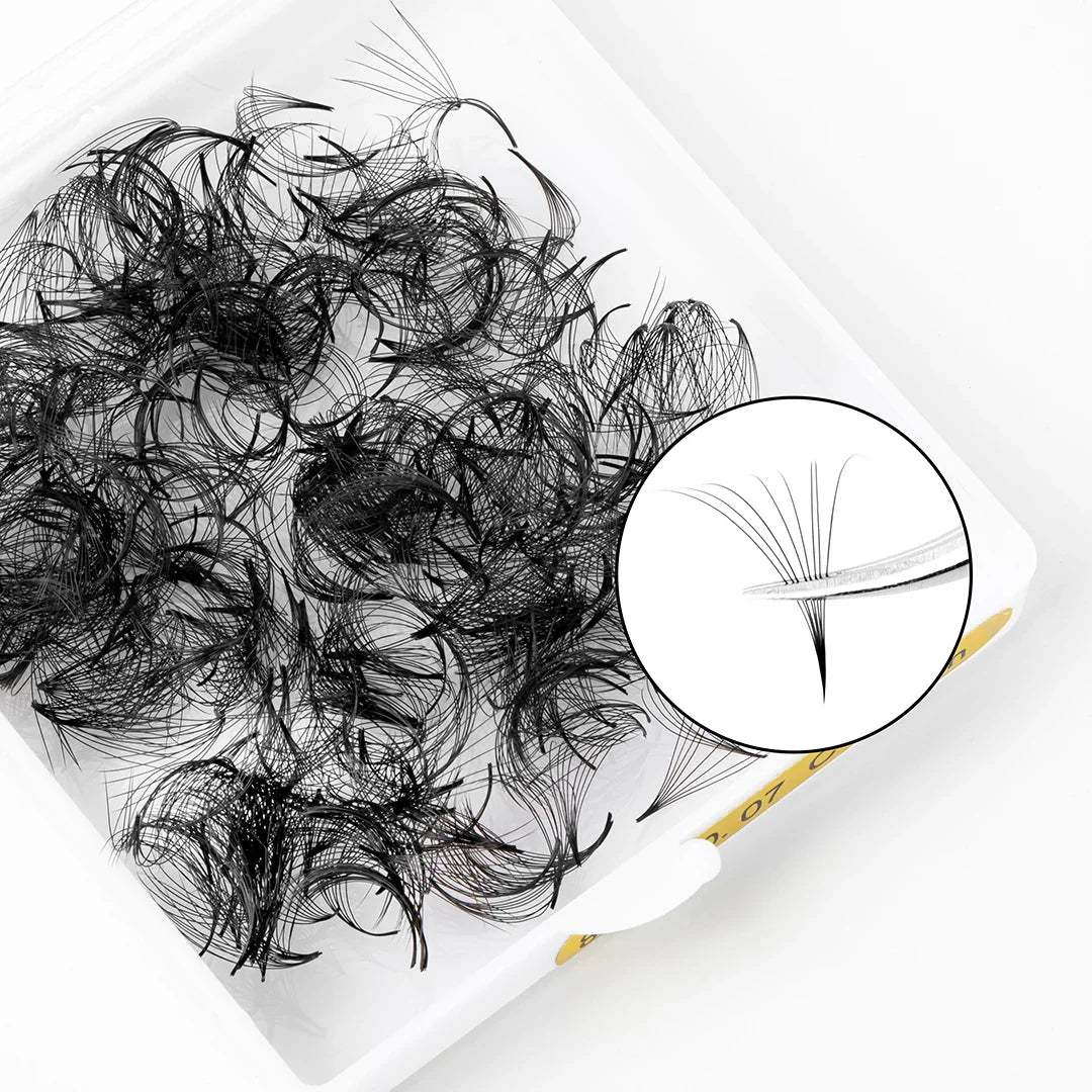 Customized 0.05mm C D Cashmere Mix Length Premade Loose Eyelash Extensions 8D Pointy Base Wholesale 500 Fans