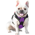 Best Seller High-End Dog Harness Durable Safe Reflective Soft Leather Nylon Polyester Rubber Adjustable Pet Vest Reputable