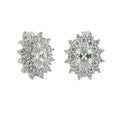 New Arrivals Fine Jewelry Oval Stones Paved 925 Silver Jewelry 2023 Luxury Zircon Earrings