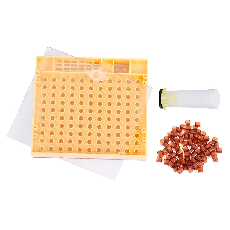 Plastic New China Manufacturer Beekeeping Equipment Queen Rearing Box for Beekeeper