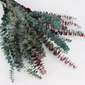 M034 Wedding Dried Flower Arrangement Baby Blue Green Red Eucalyptus Leaves Branches Real Natural Dried Preserved Eucalyptus