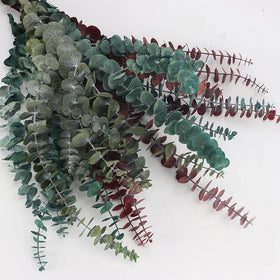M034 Wedding Dried Flower Arrangement Baby Blue Green Red Eucalyptus Leaves Branches Real Natural Dried Preserved Eucalyptus