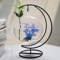 Hanging Glass Aquarium Fish Bowl Flower Plant Vase Spherical Glass Betta Fish Tank Aquariums