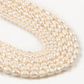 Wholesale Natural 15 Inches Irregular Oval Shape White Freshwater Pearl Semi Gemstone Beads for DIY Accessories