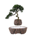 Modern Design Indoor/Outdoor Self-Watering Plant Pots for Garden Floor Square & Round Cheap Custom Wholesale Set Plants Home Use