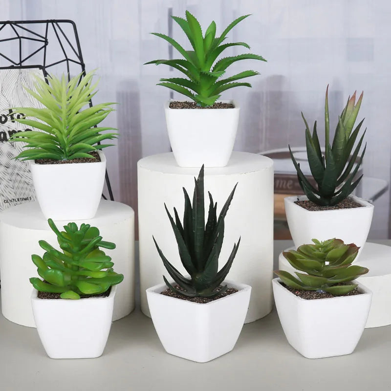 DREA Indoor and Outdoor Decor Plastic Durable Plant Mini Artificial Succulent Planter Flower Pot for Desk Plants