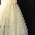 Powder Spraying Mesh Lace Littering Bronzing Polyester Breathable Shine Powder Mesh Fabrics for Wedding Cloth Skirt Home Textile