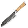 Grandsharp Professional 7 Inch Japanese 67 Layers Damascus Steel Kitchen Knife Santoku Knife With Resin and Oliver Wood Handle