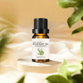 Organic 100% Pure Rosemary Hair Growth Oil with Sweet & Fresh Odor Steam Distilled Hair Care for Natural Ingredients