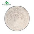 China Wellgreen Factory Wholesale Supplement Crystal Powder Amino Acid CAS 147-85-3 Proline L Prolin L-Proline