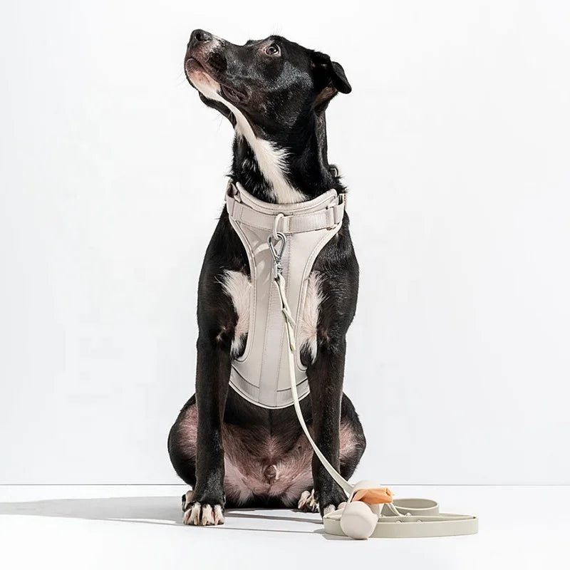 Custom Heavy Duty Waterproof PVC Durable Rope Show Running Lead Pet Dog Poop Bag Holder PVC Harness Leash Collar Set