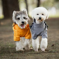 Waterproof Dog Clothes Raincoat Harness Pet Clothes Cat Outfit Sausage Private Label Dog Rain Jacket