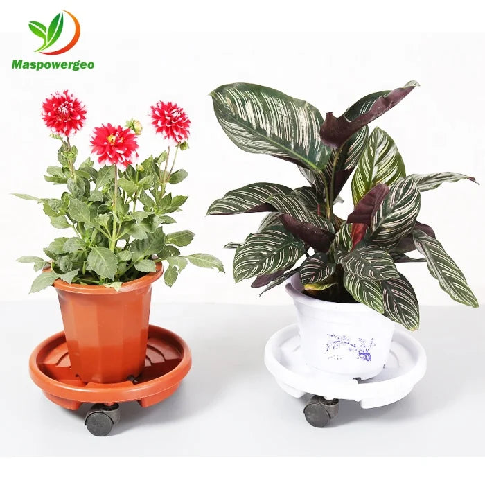 7 GALLON Flower Bonsai Plant Pot Saucers Trays