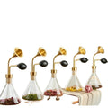 300ml High-End Double Glass Perfume Bottle with Pump Sprayer for Beauty Salons