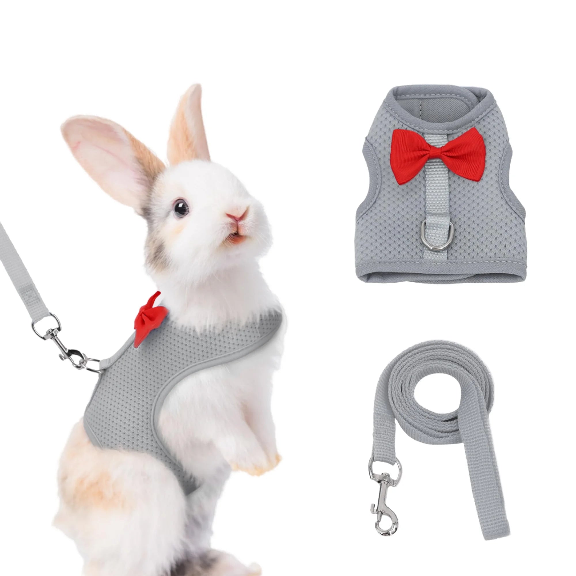 Maychan High Durable Pet Harness Leash Set Breathable Nylon Personalized Buckle Closure Small Pet Leash Chest Harness Harness