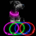 Wholesale USB-C Rechargeable LED Necklace Elegant Plastic Glowing Cat Dog Collar for Night Safety Available Small Large Sizes MegaBDM