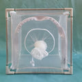 Stainless Steel Frame Backbones Sleeve-type Insect Cage Detachable Mosquito and Fly Breeding Small Insects Entomology Research