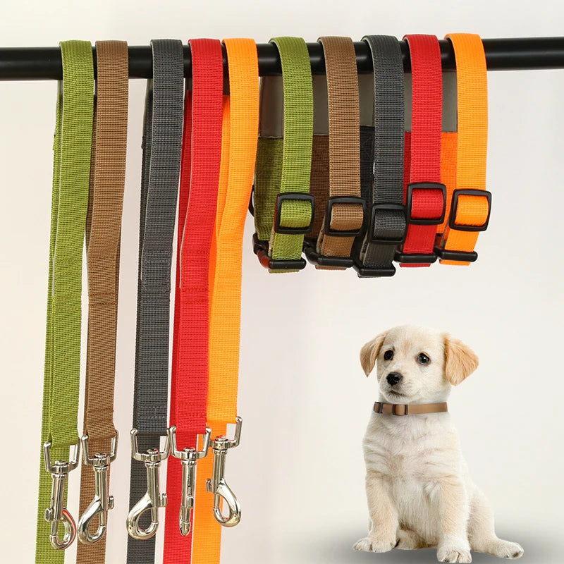 Pet Leash Collar Set Dog Chain Explosion-proof Impact Multi-functional Leash Pet Adjustable Collar