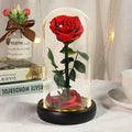 Room Decor Enchanted Eternal Rose Preserved Flower in Glass Dome Mothers Day Valentines Day  24k Gold Foil Rose Flower Galaxy