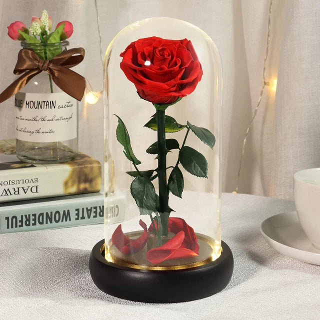 Room Decor Enchanted Eternal Rose Preserved Flower in Glass Dome Mothers Day Valentines Day  24k Gold Foil Rose Flower Galaxy
