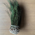 Dyed Natural Strung Peacock Herl Peacock Feathers for Fly Tying Material Fishing Costume Fascinator Hair Accessory DIY Natural