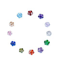 Hot Seller S925 Sterling Silver Zircon Plum Blossom Earrings Birthstone Earrings for Men and Women
