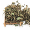 Ji Xue Cao Wholesale Centella Asiatica Dried Leaves Gotu Kola