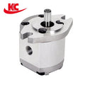 High Pressure  Gear Pump OEM Electric Rotary Pump with Oil Compatibility Factory Customized