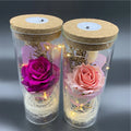 Cheap OEM DIY Craft Home Decorative Ornaments Valentine Christmas Festive Gift LED Light Artificial Rose Flower in Glass Dome