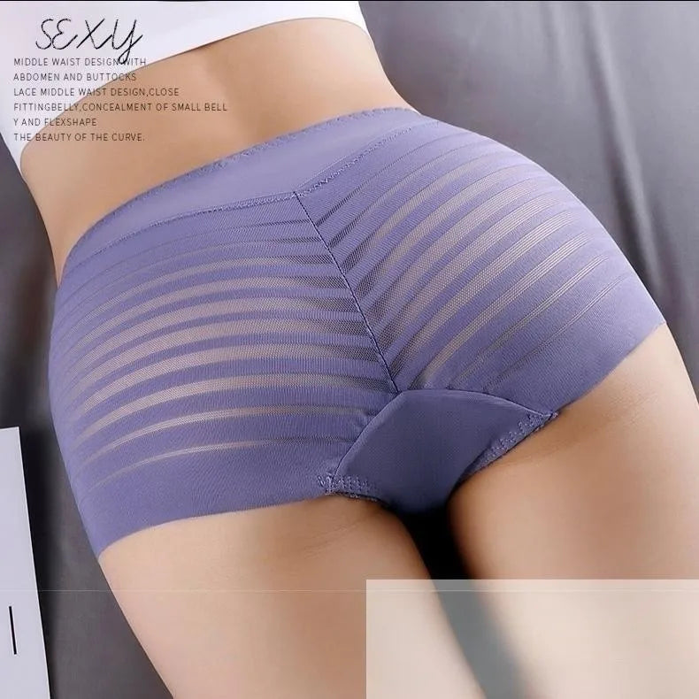 Sexy Mesh Lace Underwear High Waist Women's Fashion See-through Briefs Large Size