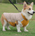 Luxury Winter Jacket for Big Dogs New XXL XL Sizes Polyester Cotton Coat Thicken Warm Solid Pattern Free Sample for Christmas