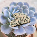 Huiying Wholesale Facial Gua Sha Tool Jade Body Natural Jade Stone Dalmatian Jasper Scraping Massage Board Tool