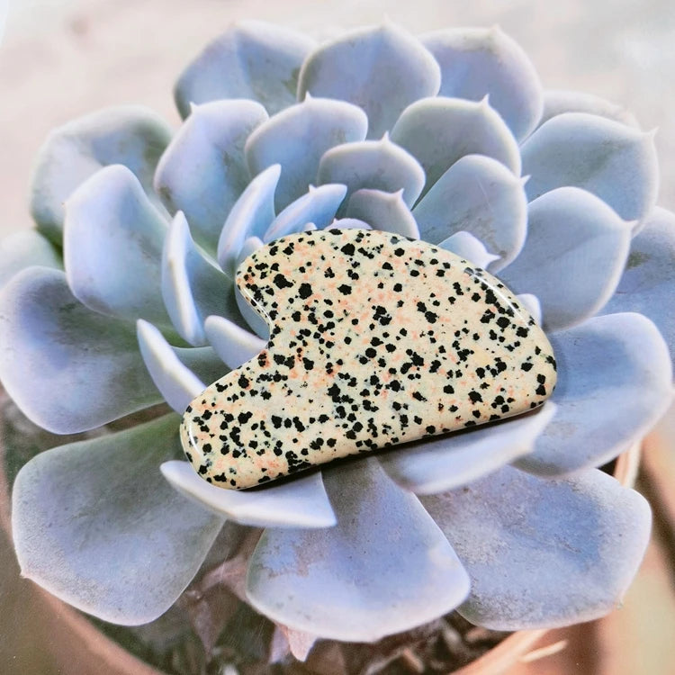 Huiying Wholesale Facial Gua Sha Tool Jade Body Natural Jade Stone Dalmatian Jasper Scraping Massage Board Tool