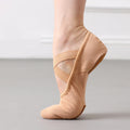 E2514 Premium Ballet Dance Slippers Canvas Leather Split-Sole Stretch Dancing Shoes for Women Girls Performance Practice