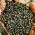 1mm Sifted Stinging Nettle Leaf Tea Herb Support Joint Health & Overall Wellness for Nourishing Herbal Tea Smoothies Infusions