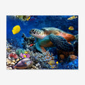 5D Full Drill DIY Diamond Painting Kit Sea Turtle Fish Embroidery Cross Stitch Fashion Decor Custom Animal Subject