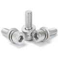 Tengri Brand China Manufacture OEM Factory Direct Sale Zinc/Plain Finish Stainless Steel DIN912 Hex Head Allen Screw Allen Bolt