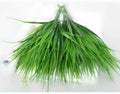 Wholesale Indoor Home Decor 7 Fork Water Grass Display Artificial Plastic Manufacturers' Wreath Ball Christmas Indoor Wreath